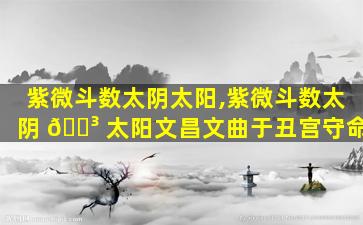 紫微斗数太阴太阳,紫微斗数太阴 🐳 太阳文昌文曲于丑宫守命